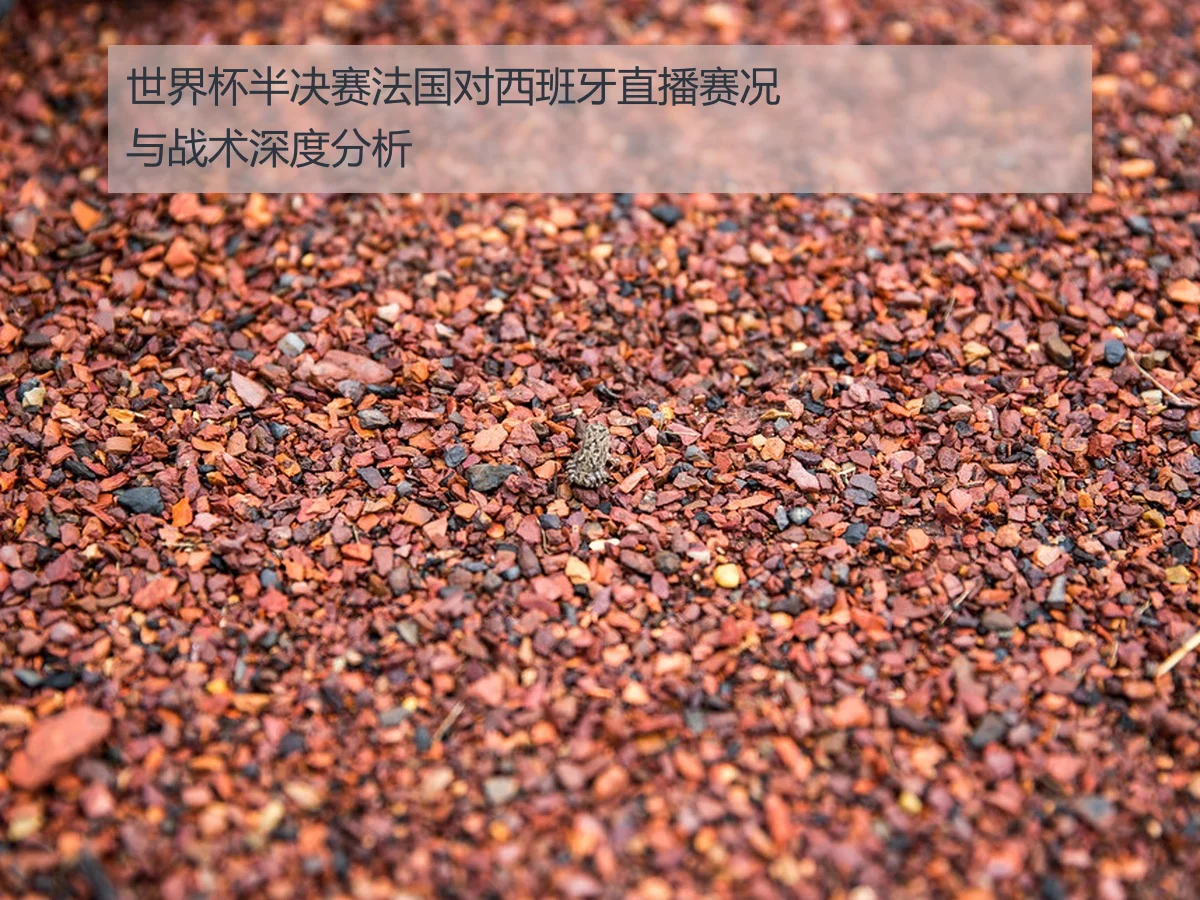世界杯半决赛法国对西班牙直播赛况与战术深度分析